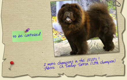 Tanlap Chows
