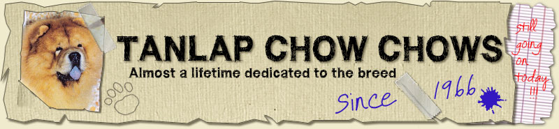 Tanlap Chows