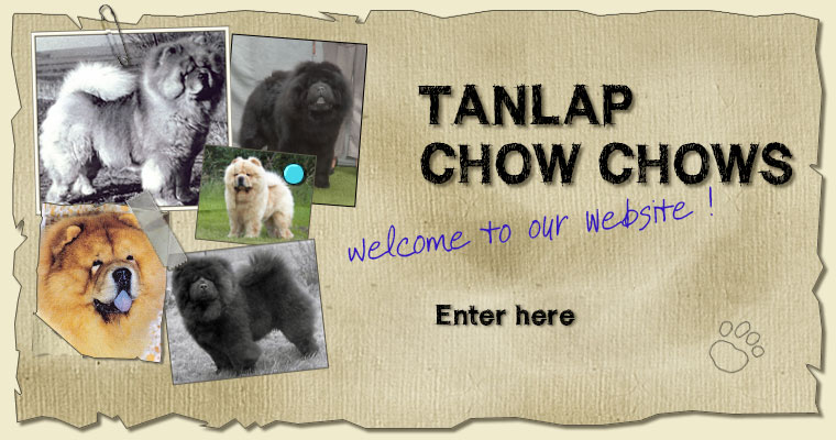 Tanlap Chows